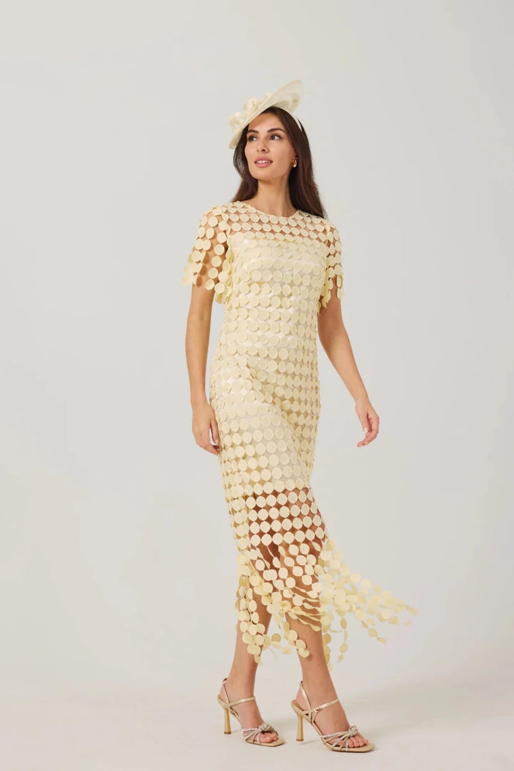 Sammi Dress in Butter Yellow | Samantha Jane Samantha Jane | Rebecca James (formerly Curvy Chic Boutique) Belfast