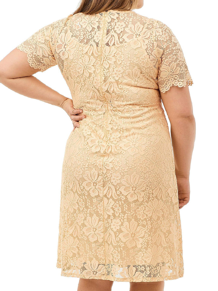Buttermilk Yellow Lined Lace Midi Plus Size Dress with sleeves - Curvy Chic Boutique