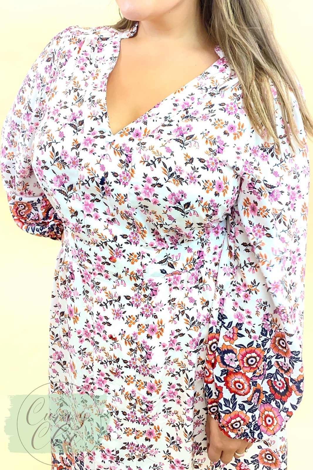 Floral Plus Size Long Sleeve Dress in Pink or Blue - Curvy Chic Boutique